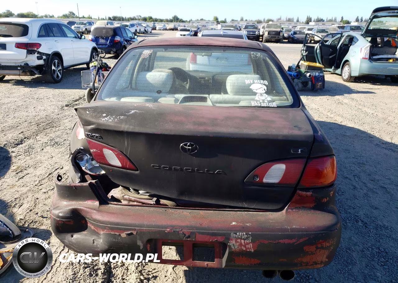 1998 Toyota Corolla Ve VIN:1NXBR18E0WZ029368 - 6