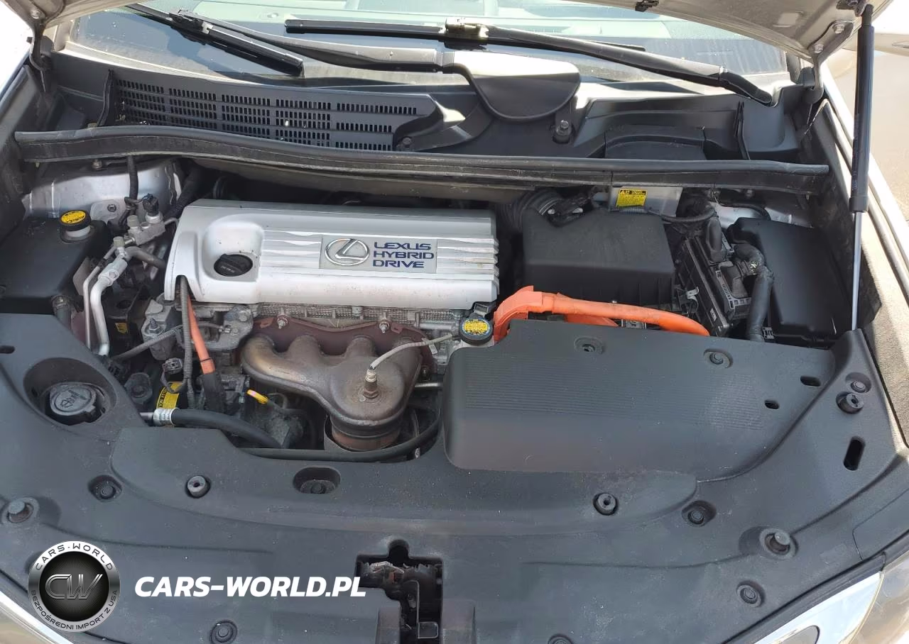 2010 Lexus Hs 250H VIN:JTHBB1BA2A2001346 - 11