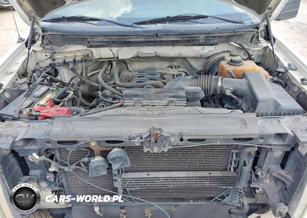 2011 Ford F150 Supercrew VIN:1FTFW1CF3BFA40331 - 11