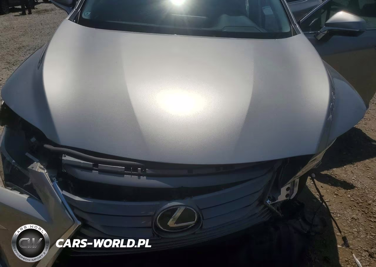 2019 Lexus Rx 350 Base VIN:2T2ZZMCA2KC146400 - 12