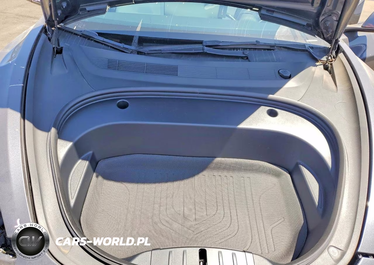 2023 Tesla Model 3 VIN:5YJ3E1EC8PF509501 - 11