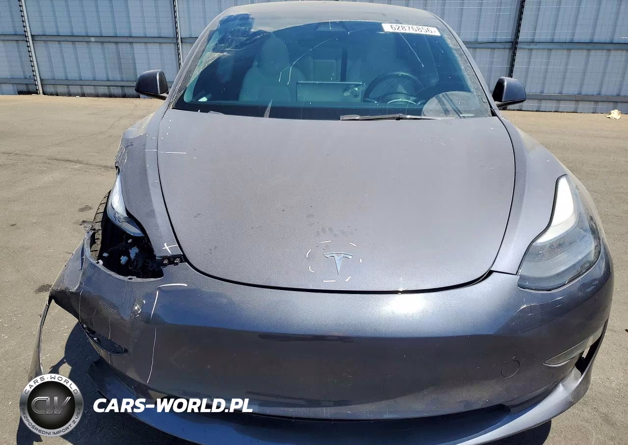 2023 Tesla Model 3 VIN:5YJ3E1EC8PF509501 - 5