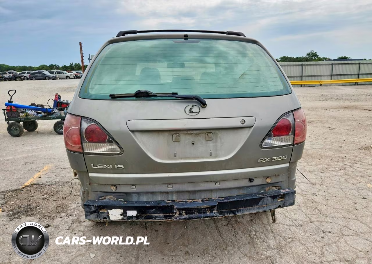 2000 Lexus Rx 300 VIN:JT6HF10U4Y0113351 - 6