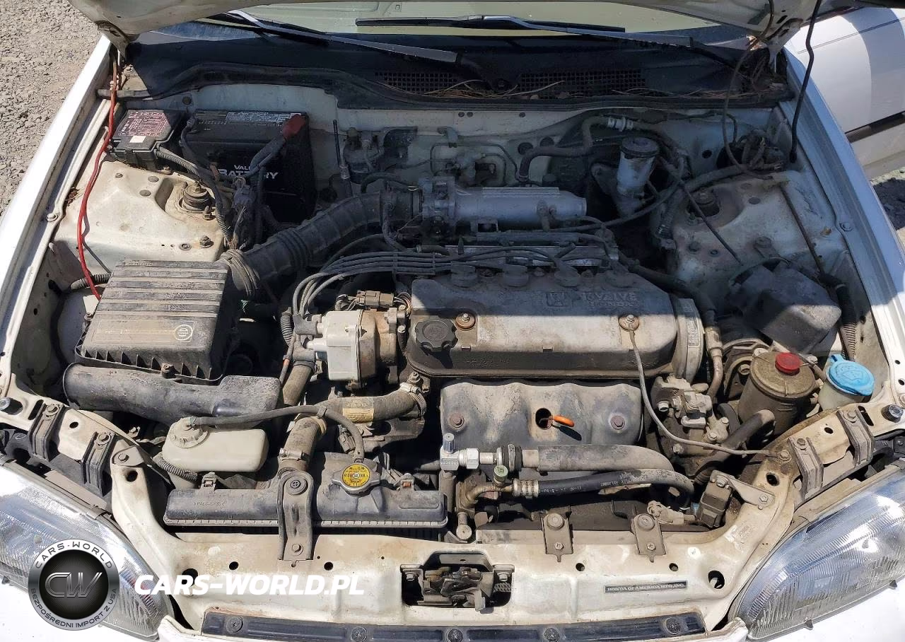 1994 Honda Civic Lx VIN:1HGEG8656RL019765 - 11