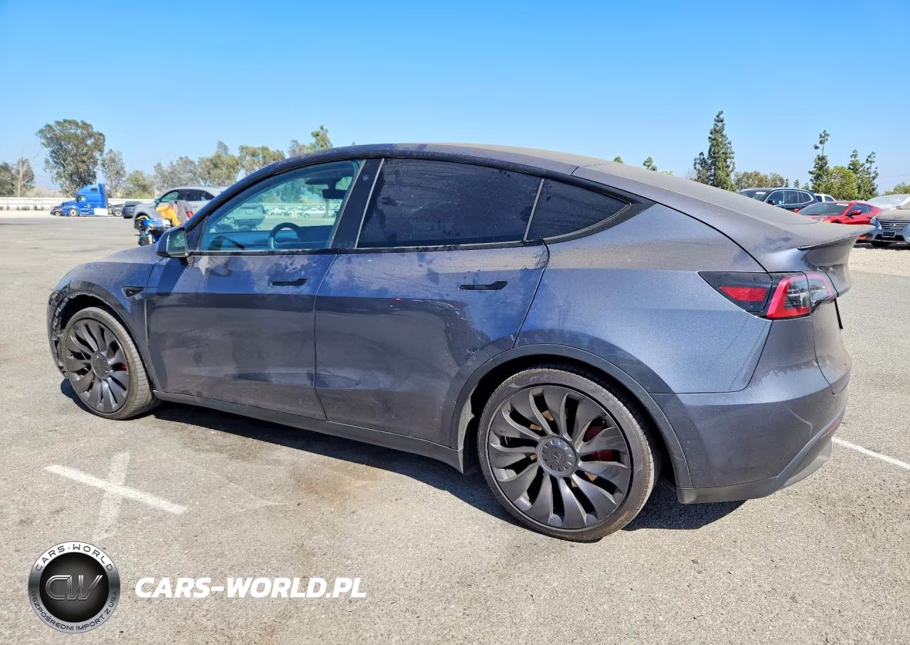2023 Tesla Model Y VIN:7SAYGDEF1PF761847 - 2