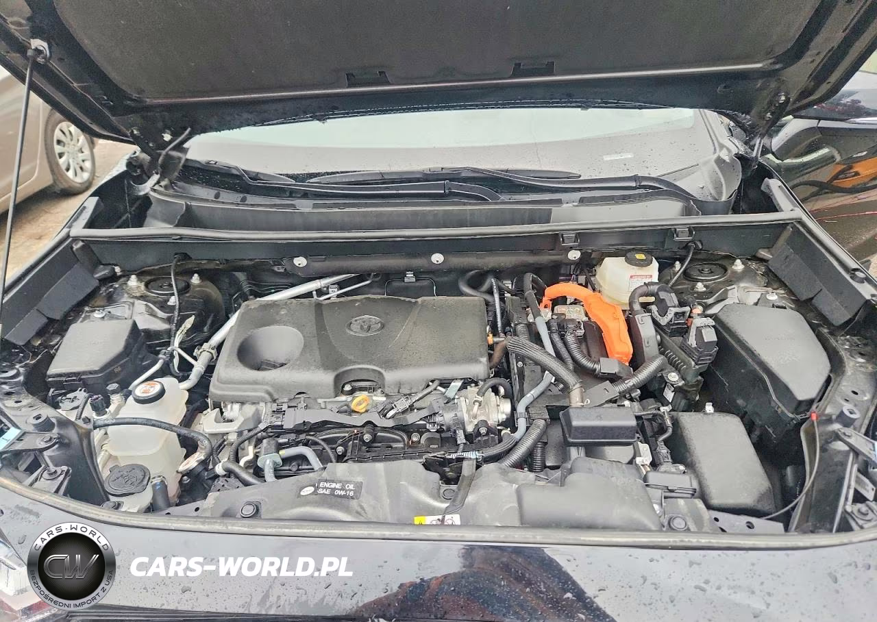 2024 Toyota Rav4 Xle Premium VIN:2T3B6RFV3RW082040 - 12