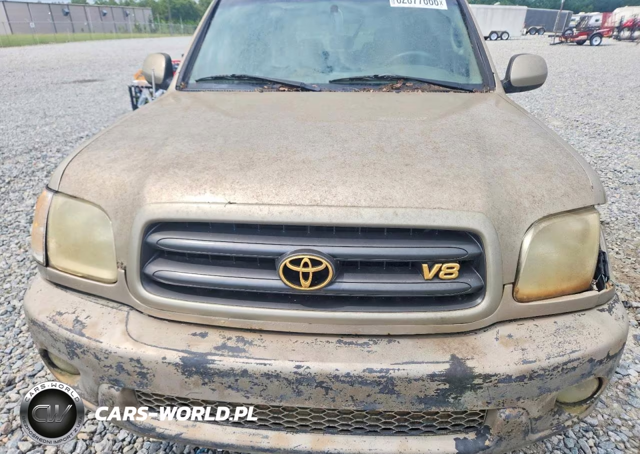 2002 Toyota Sequoia Sr5 VIN:5TDBT44AX2S096830 - 12