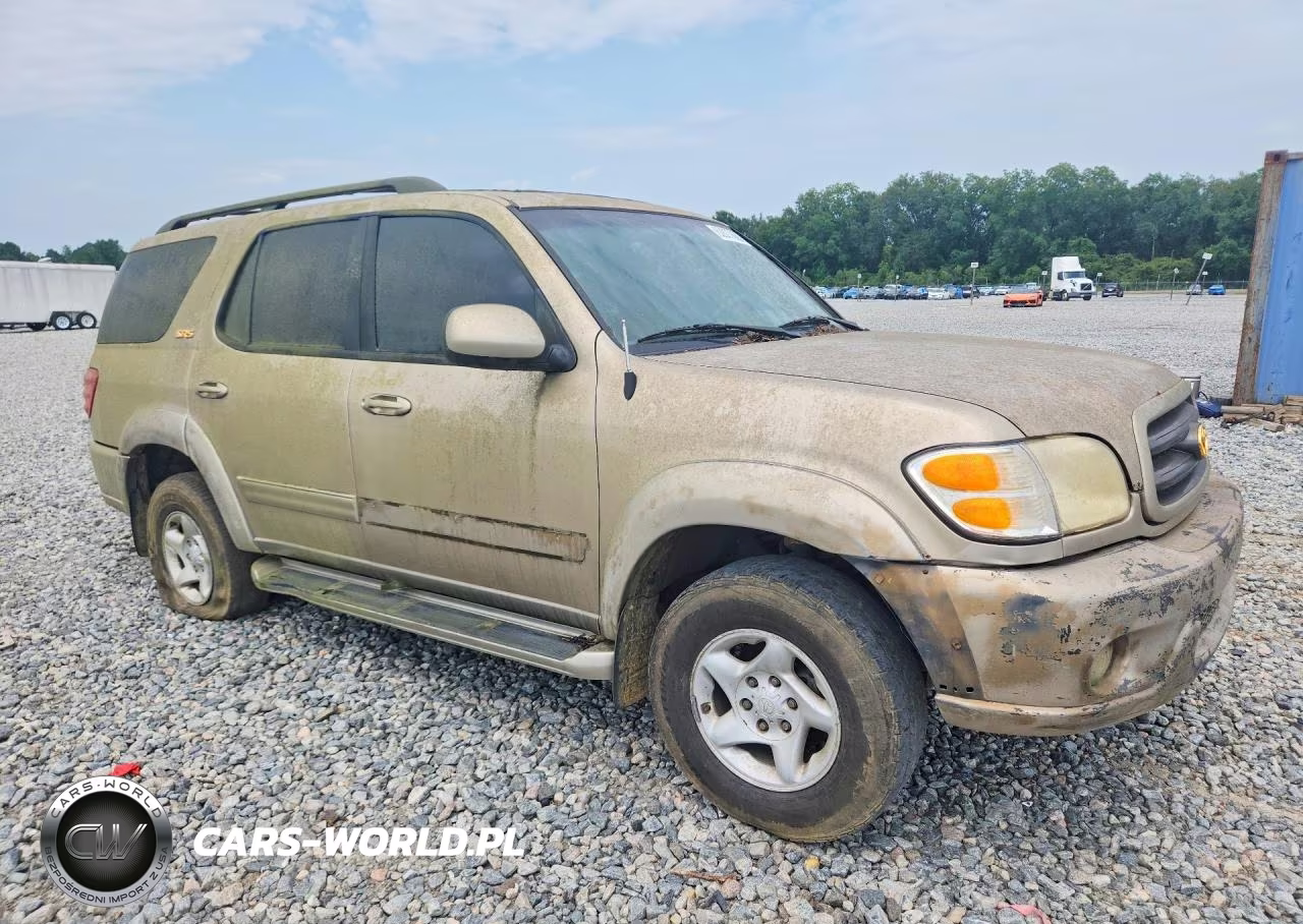 2002 Toyota Sequoia Sr5 VIN:5TDBT44AX2S096830 - 4