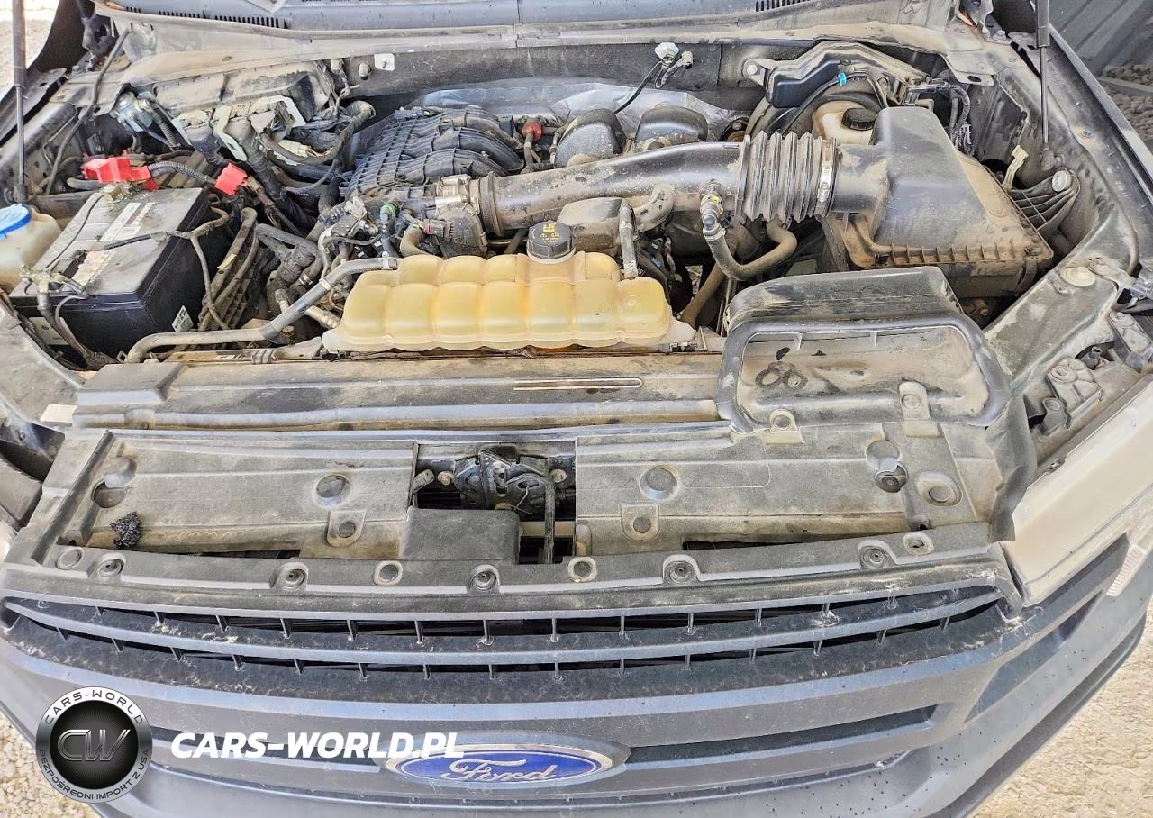 2020 Ford F150 Supercrew VIN:1FTEW1EBXLKD26465 - 11