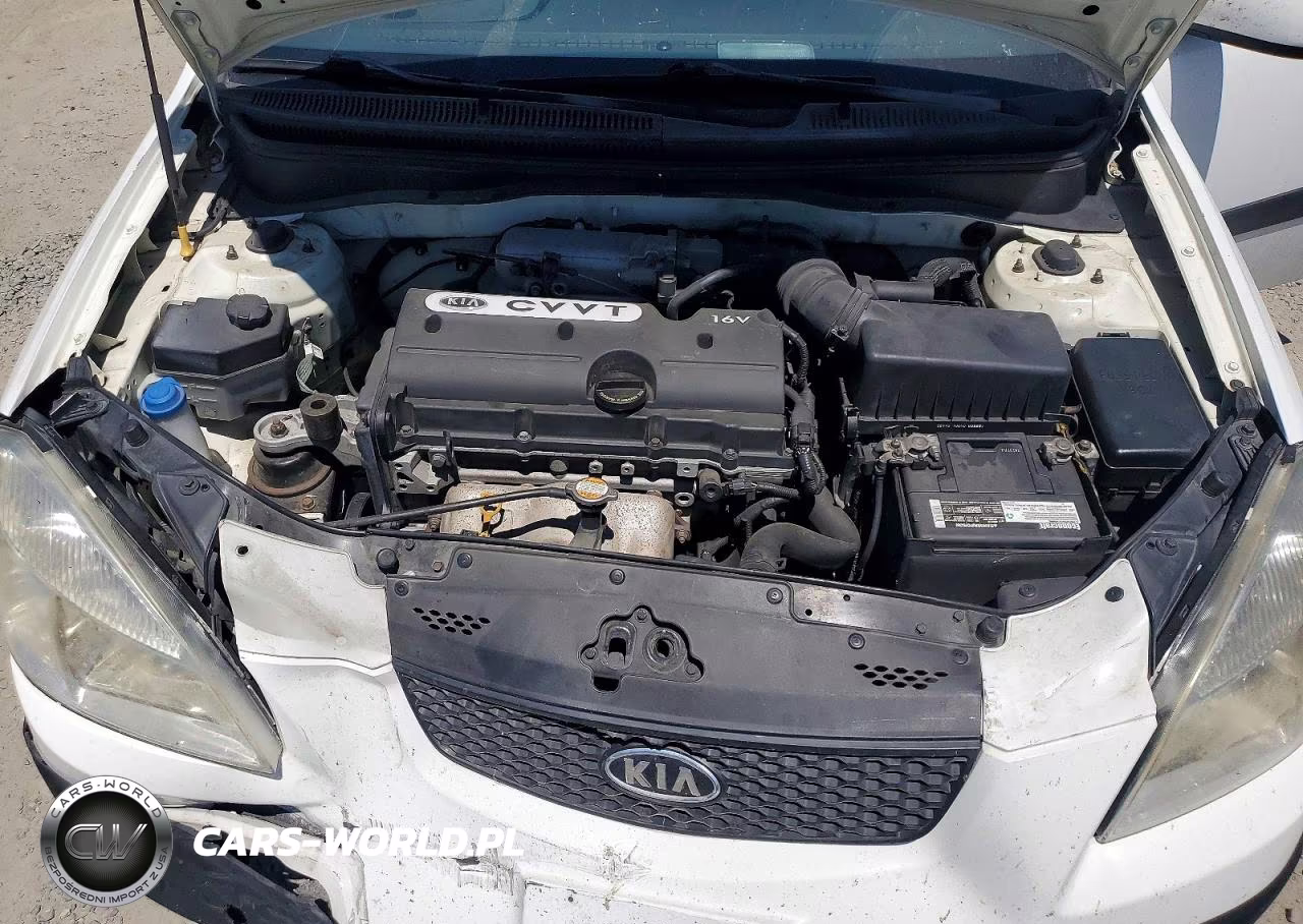 2009 Kia Rio Base VIN:KNADE223296452982 - 11