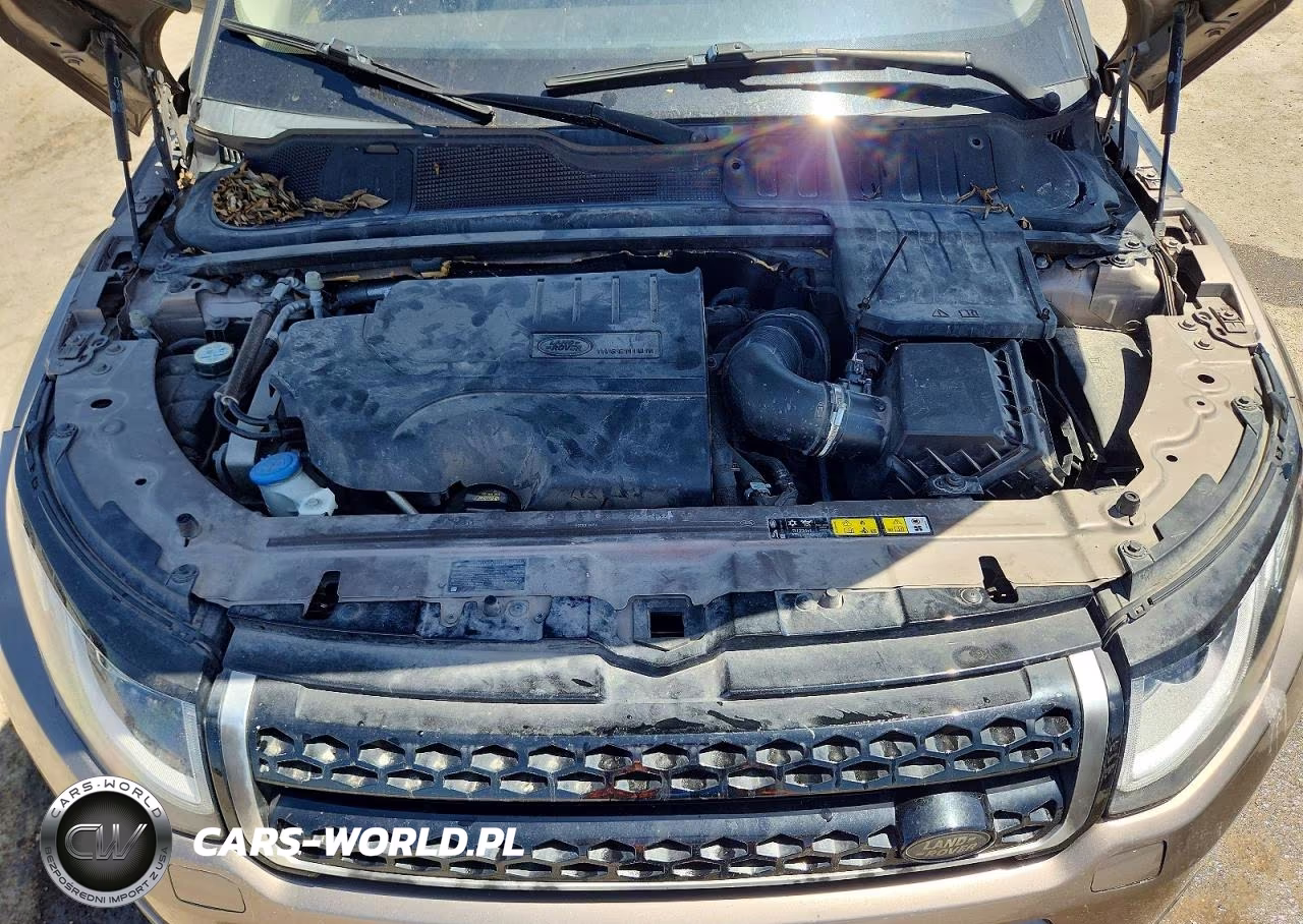 2018 Land Rover Range Rover Evoque Se VIN:SALVP2RX1JH302213 - 12