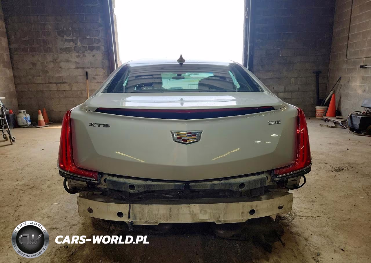 2019 Cadillac Xts Luxury VIN:2G61M5S37K9118460 - 6