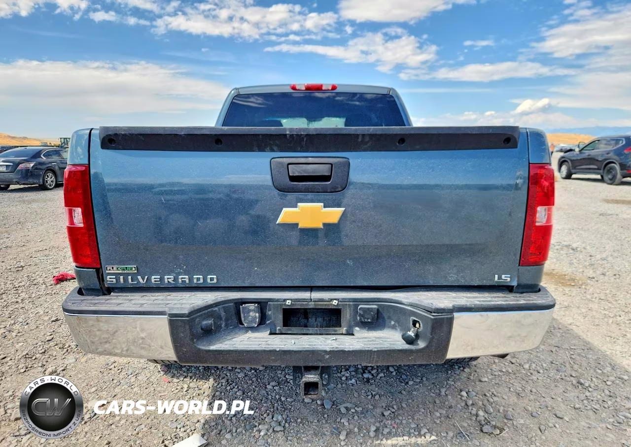 2010 Chevrolet Silverado C1500 Ls VIN:1GCSCREA6AZ258574 - 6