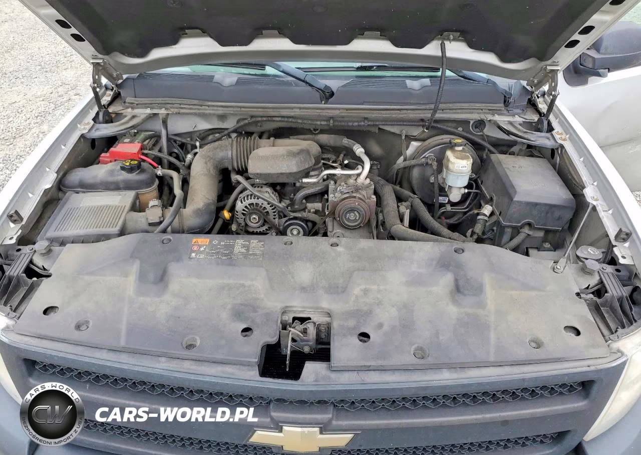 2011 Chevrolet Silverado C1500 VIN:1GCNCPEX9BZ275540 - 11