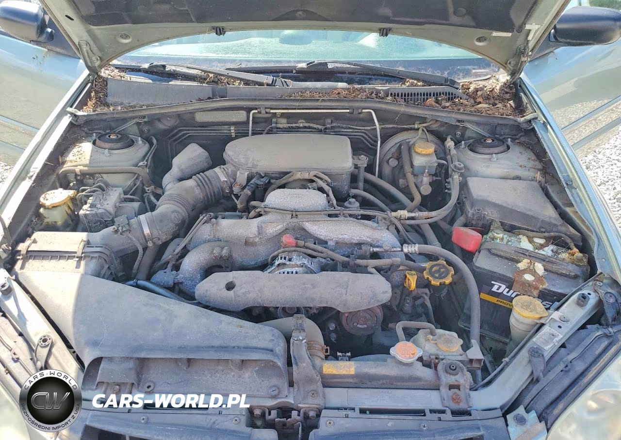 2009 Subaru Outback VIN:4S4BP61C397318923 - 12
