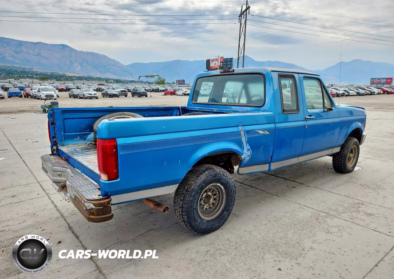 1994 Ford F150 VIN:1FTEX14N3RKA24159 - 3