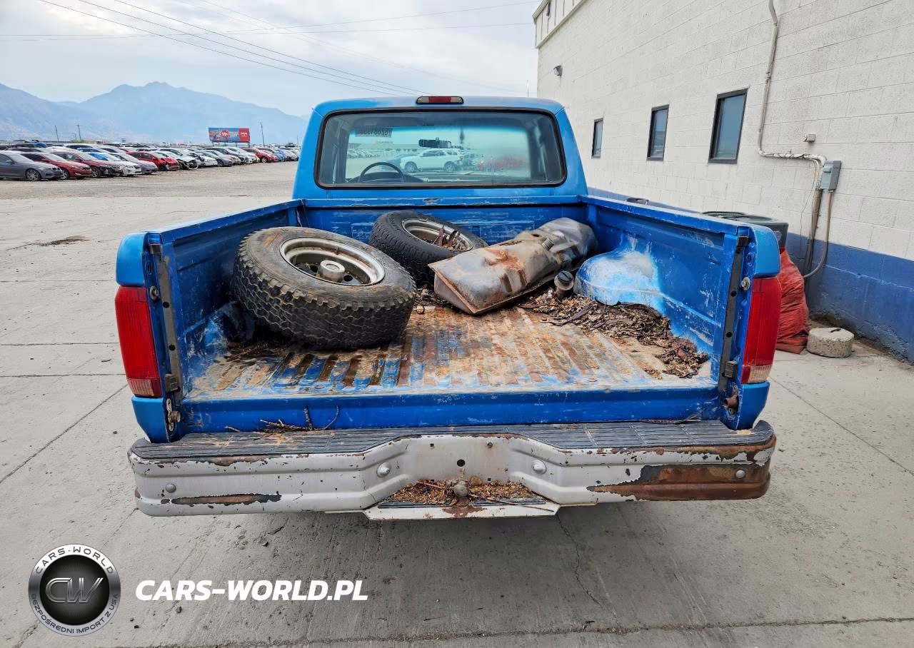1994 Ford F150 VIN:1FTEX14N3RKA24159 - 6