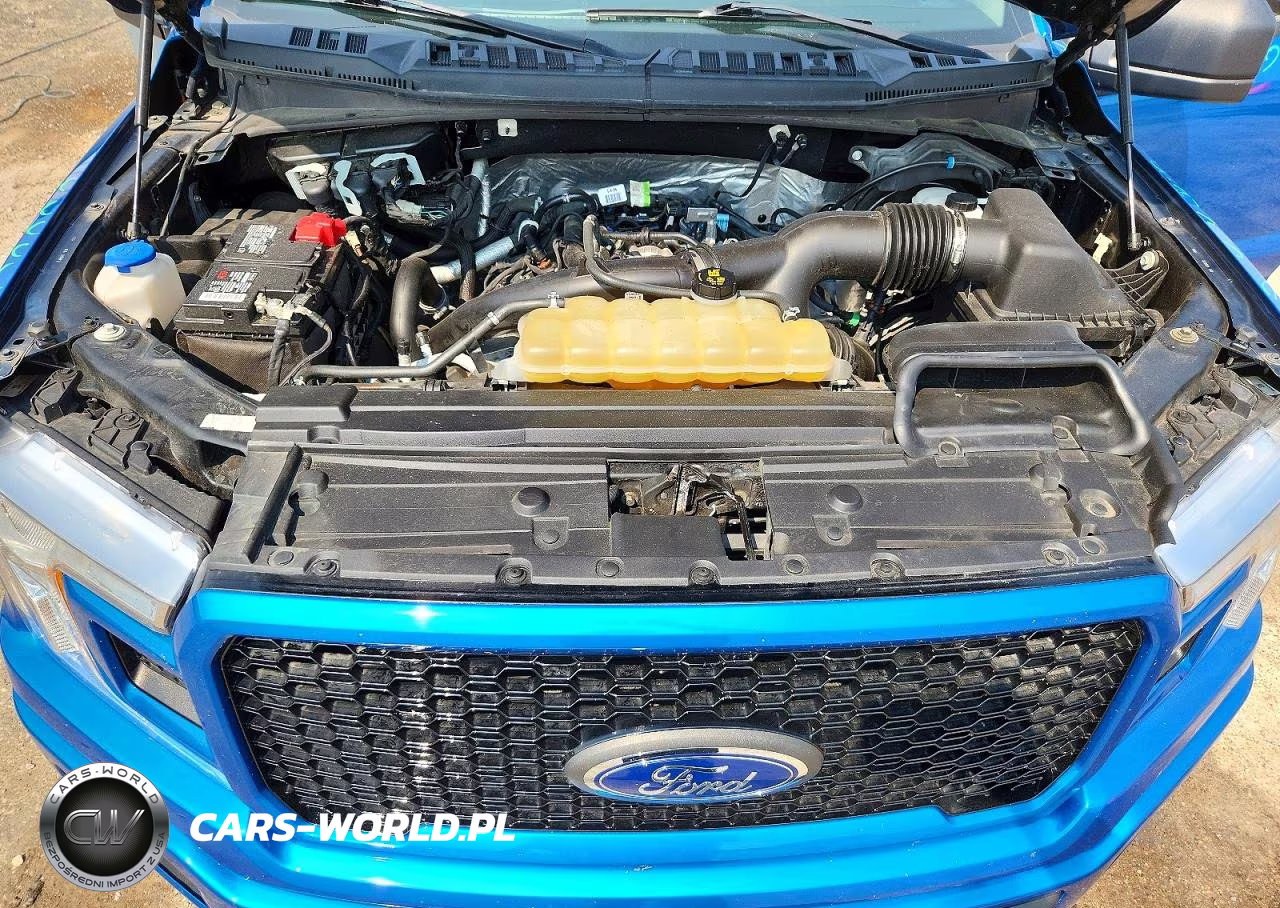 2019 Ford F150 Supercrew VIN:1FTEW1EP4KKE12414 - 11