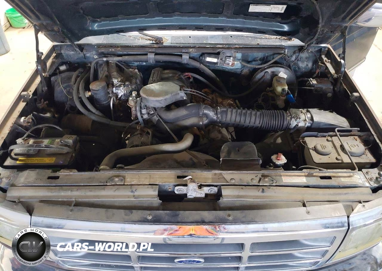 1995 Ford F150 VIN:1FTEX14N7SKA87027 - 11
