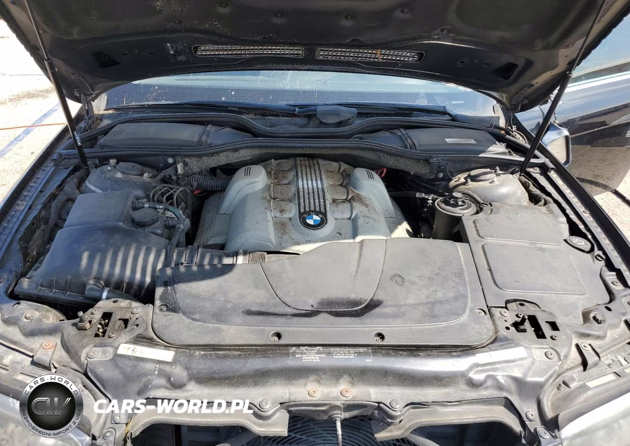 2003 BMW 745 I VIN:WBAGL63473DP62369 - 11