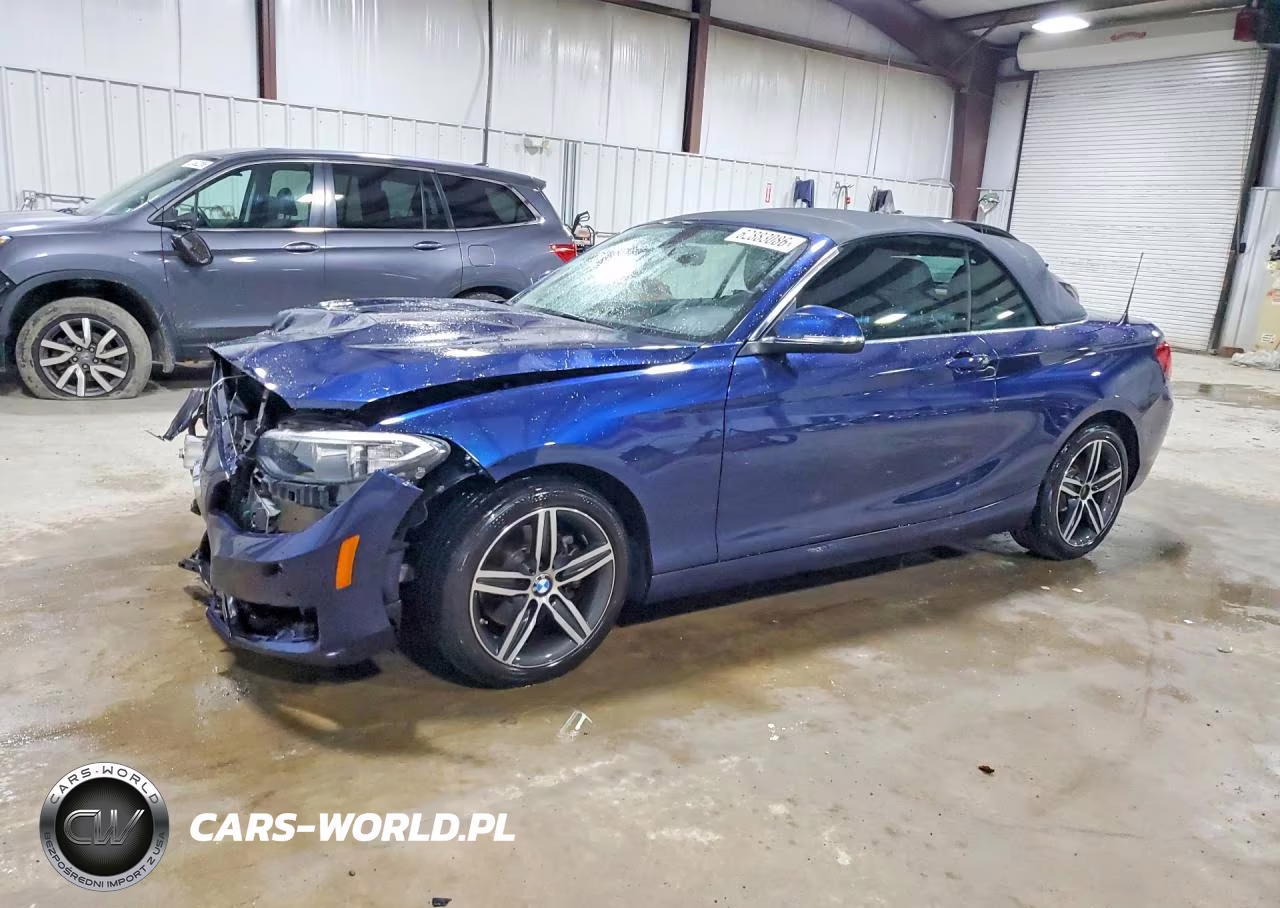 2017 BMW 230Xi