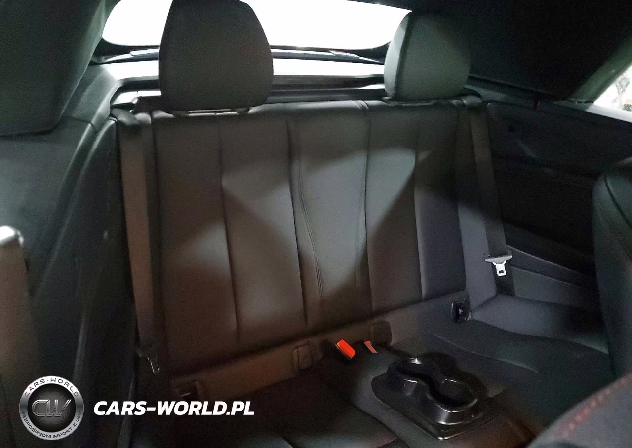 2017 BMW 230Xi VIN:WBA2M9C35HV985608 - 10