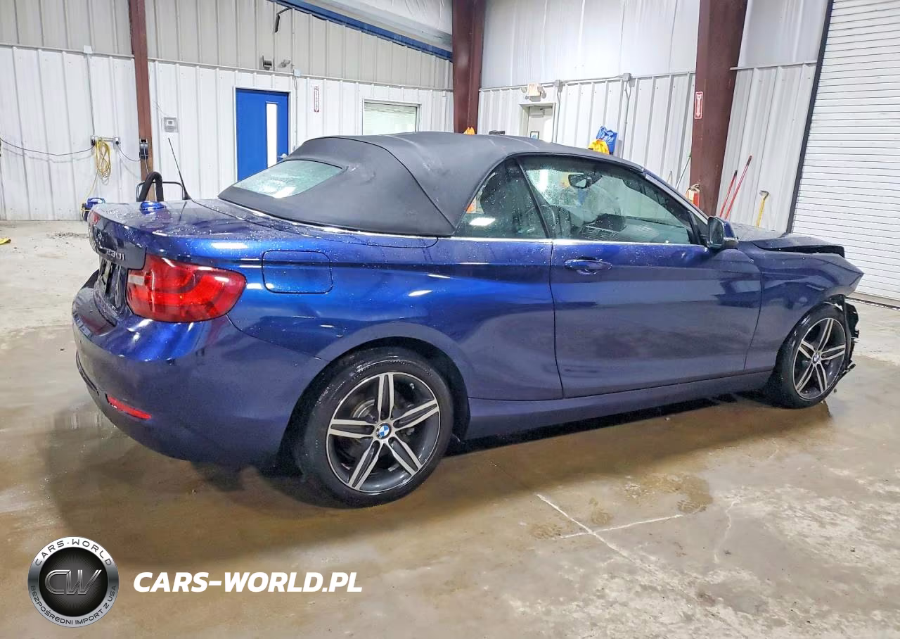 2017 BMW 230Xi VIN:WBA2M9C35HV985608 - 3