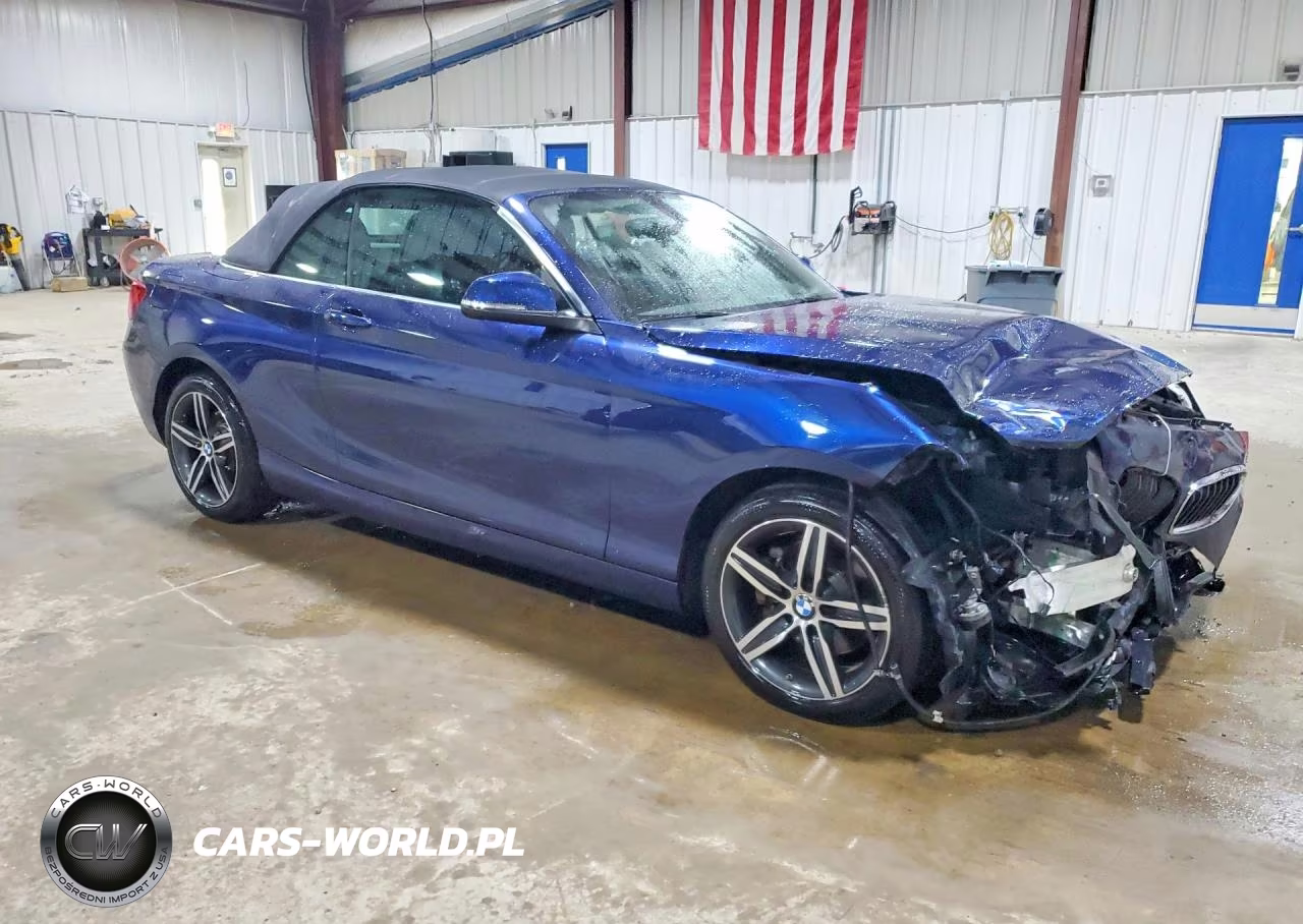 2017 BMW 230Xi VIN:WBA2M9C35HV985608 - 4