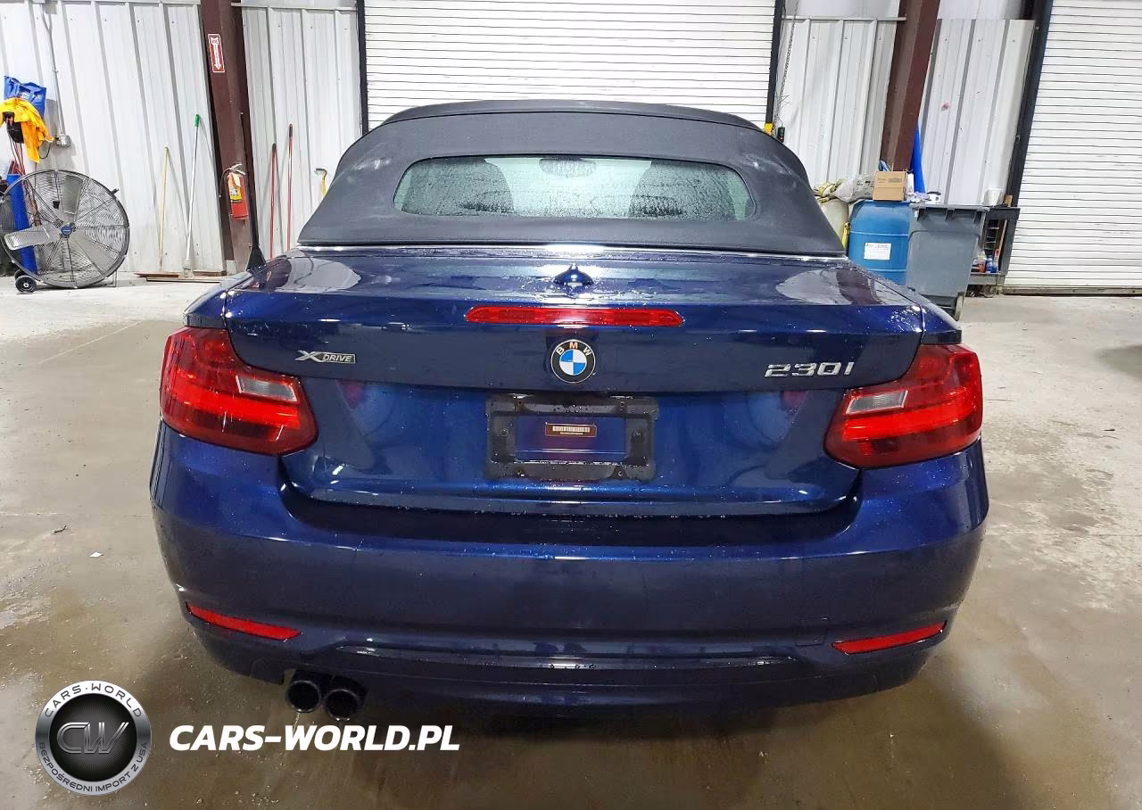2017 BMW 230Xi VIN:WBA2M9C35HV985608 - 6