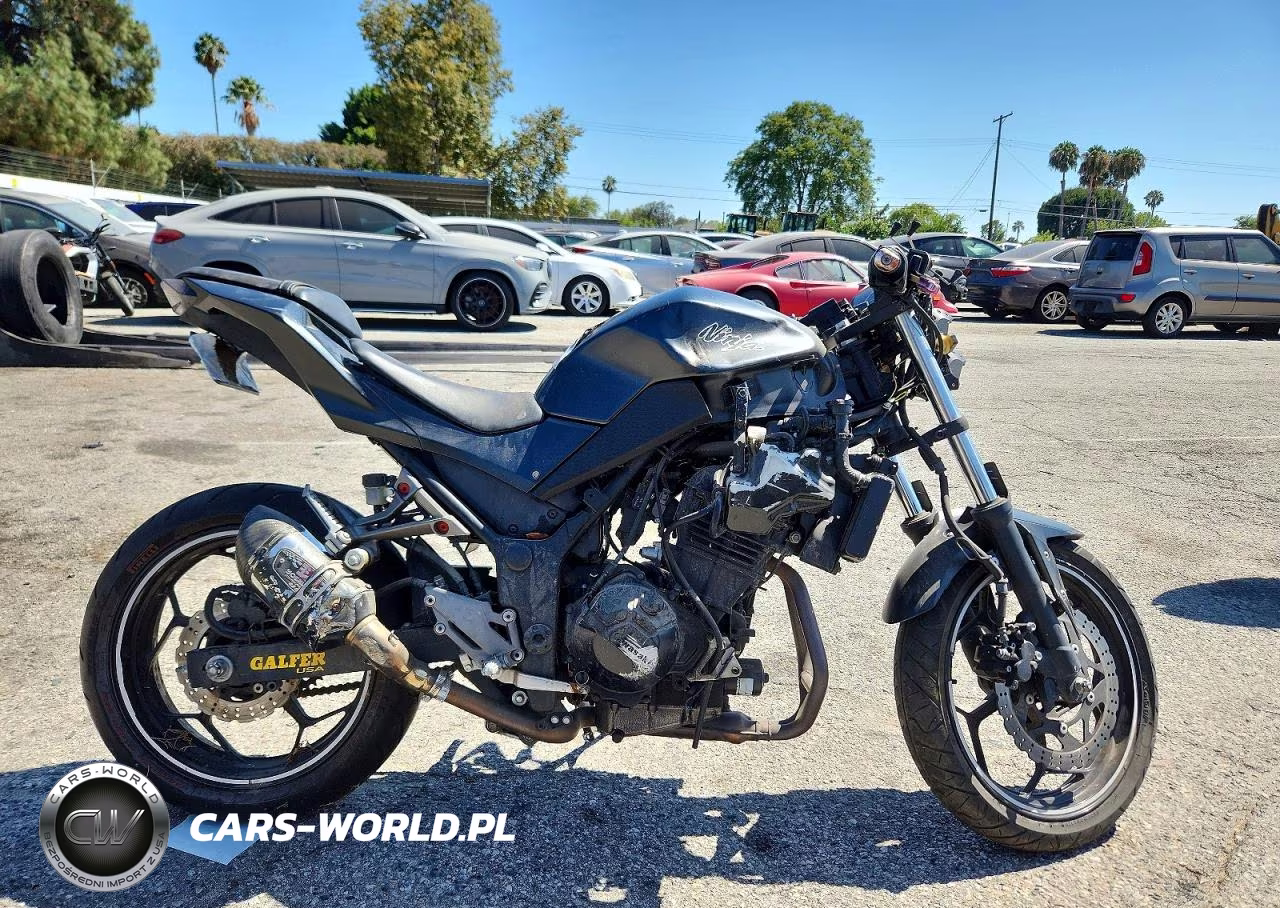 2015 Kawasaki Ninja300 – zdjęcie 1 z 8