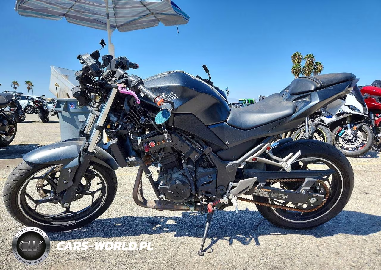 2015 Kawasaki Ninja300 VIN:JKAEX8A19GDA28869 - 3