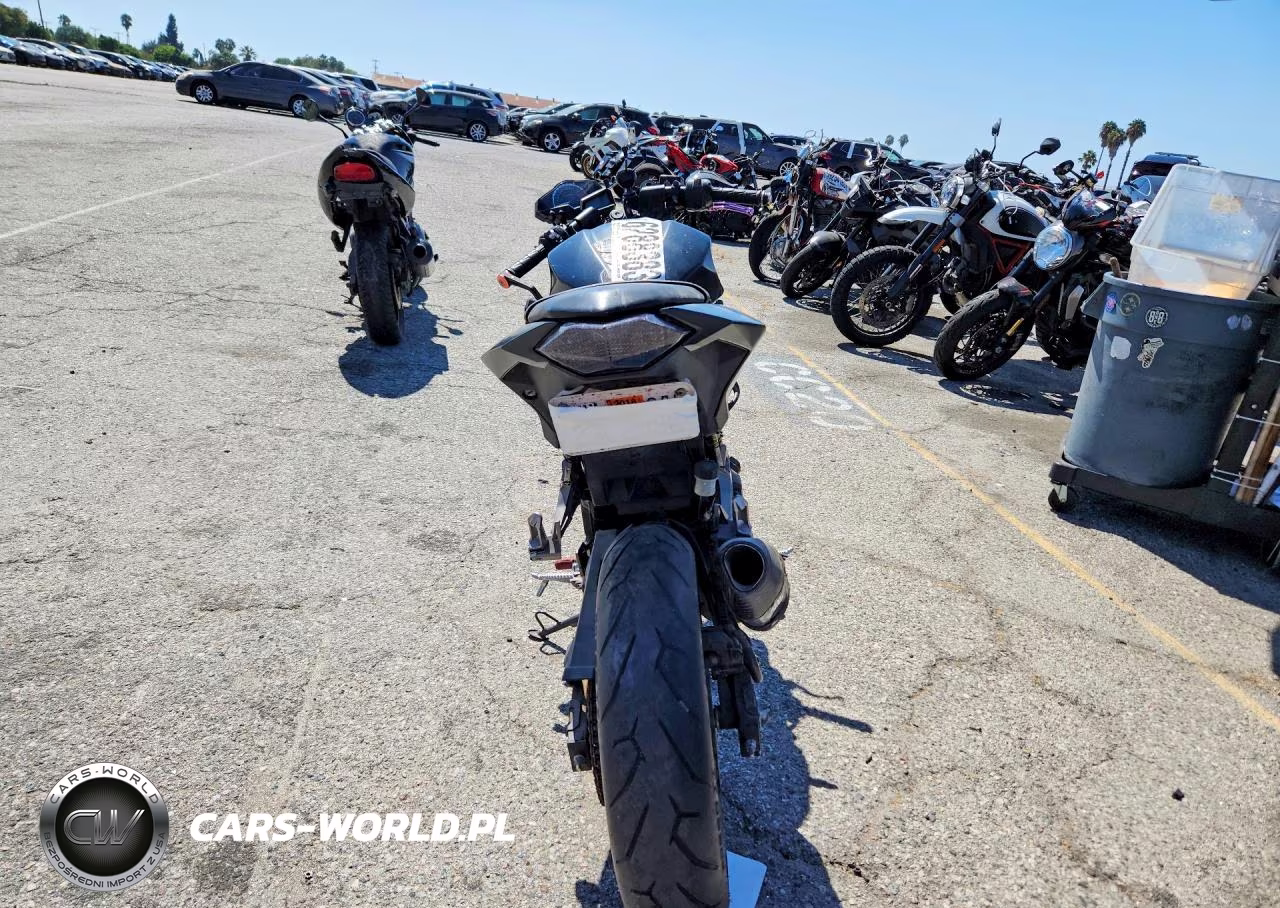 2015 Kawasaki Ninja300 VIN:JKAEX8A19GDA28869 - 4