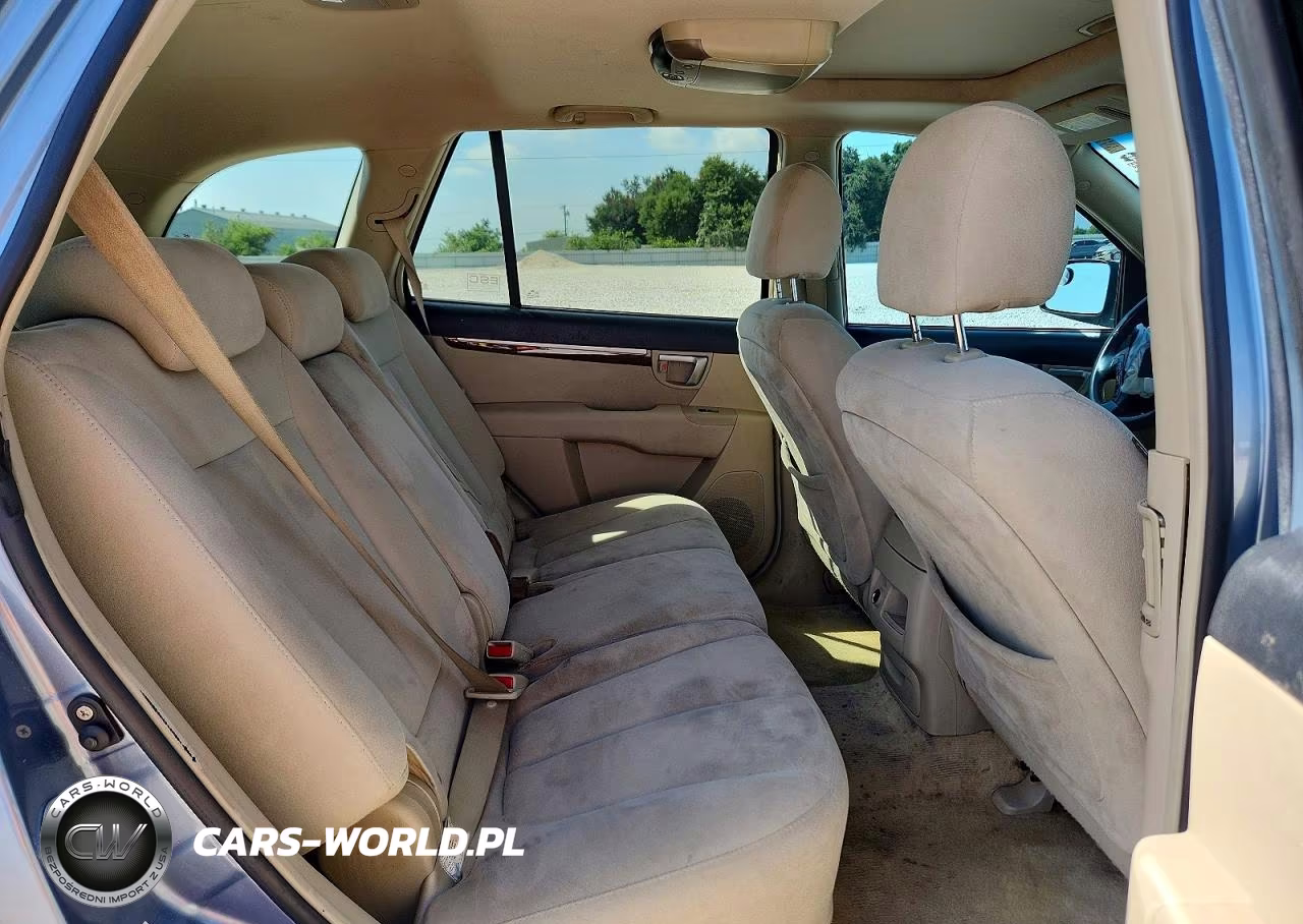 2009 Hyundai Santa Fe Gls VIN:5NMSG13D89H310886 - 10