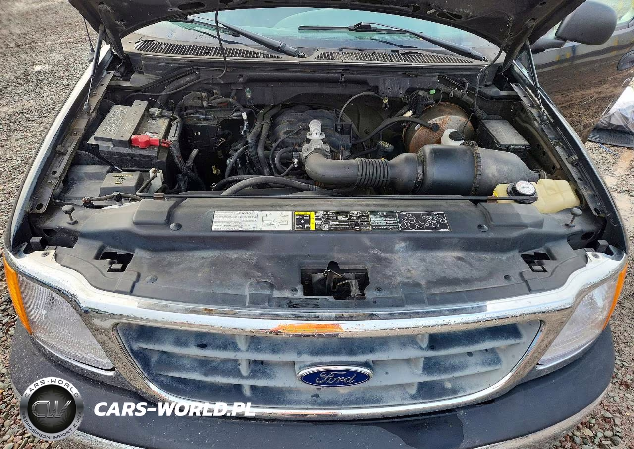 2004 Ford F-150 Heritage Classic VIN:2FTRF17284CA86305 - 11