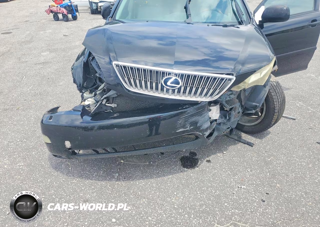 2004 Lexus Rx 330 VIN:2T2GA31U64C011932 - 12