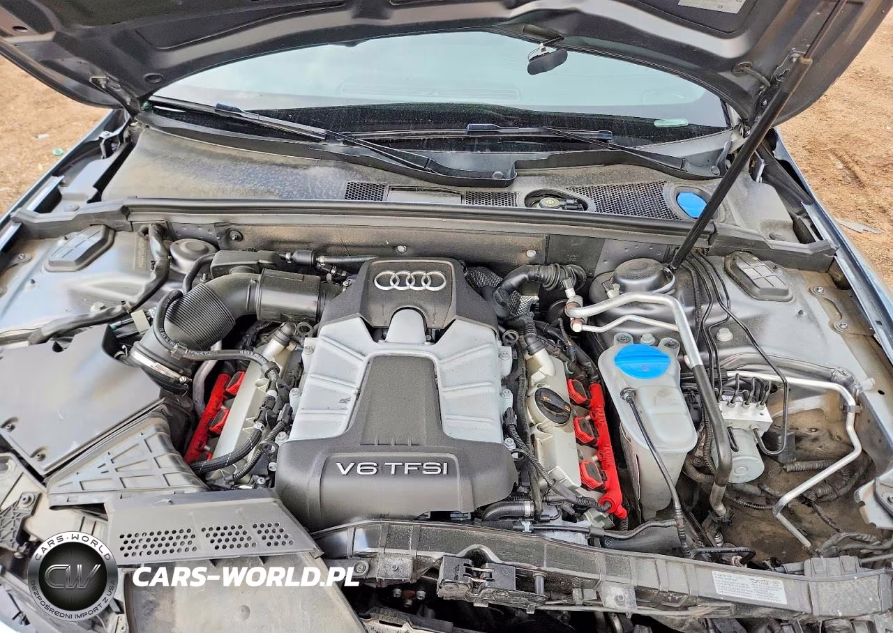 2013 Audi S5 Premium Plus VIN:WAUCGAFR3DA007008 - 11
