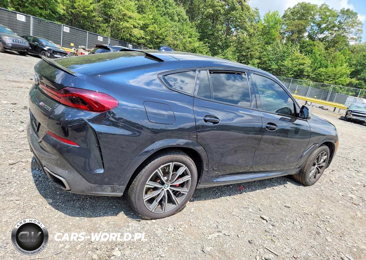 2021 BMW X6 M50I VIN:5UXCY8C06M9F24997 - 3