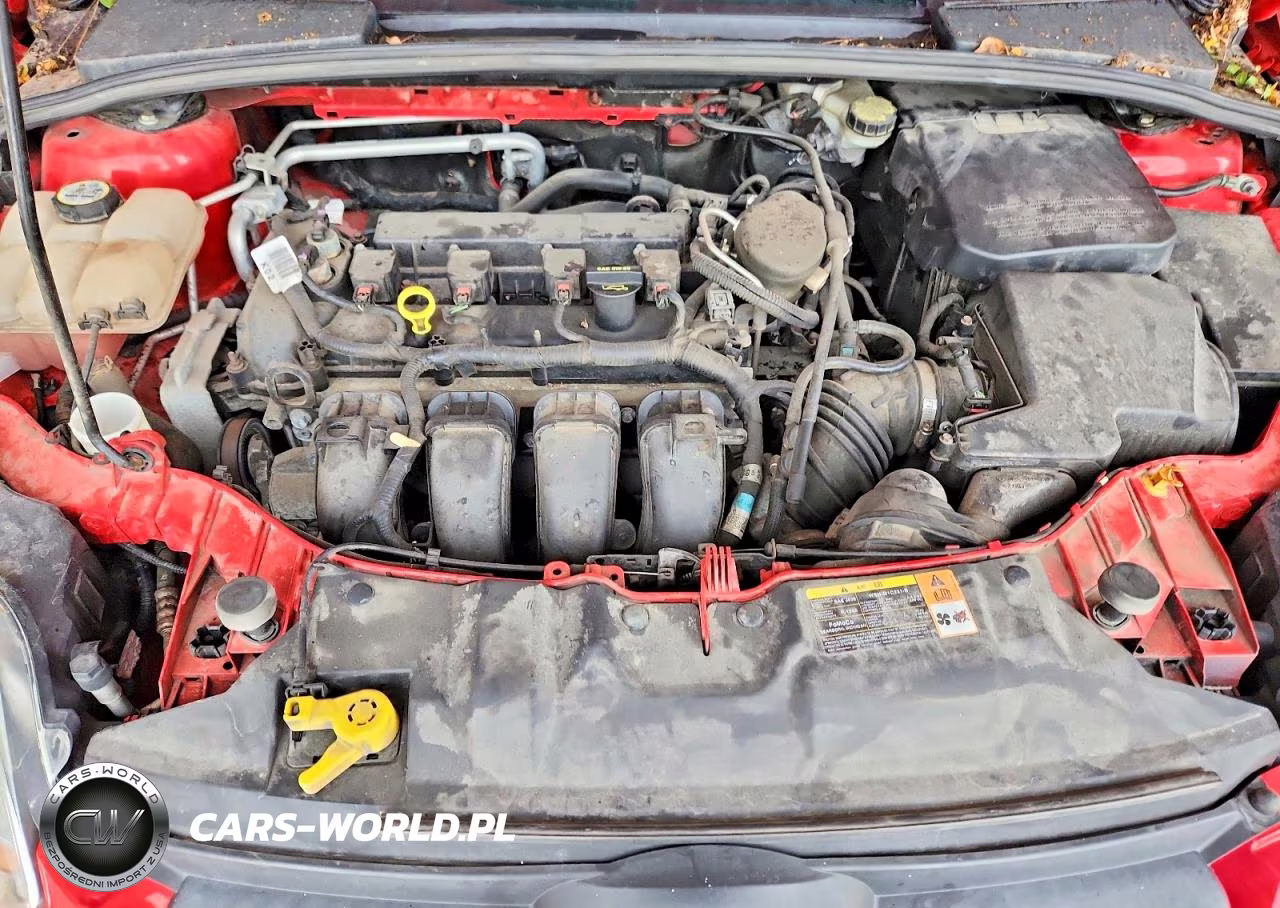 2013 Ford Focus Se VIN:1FADP3F20DL274607 - 11