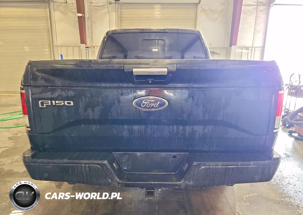 2017 Ford F150 Supercrew VIN:1FTEW1EG9HKC99925 - 6