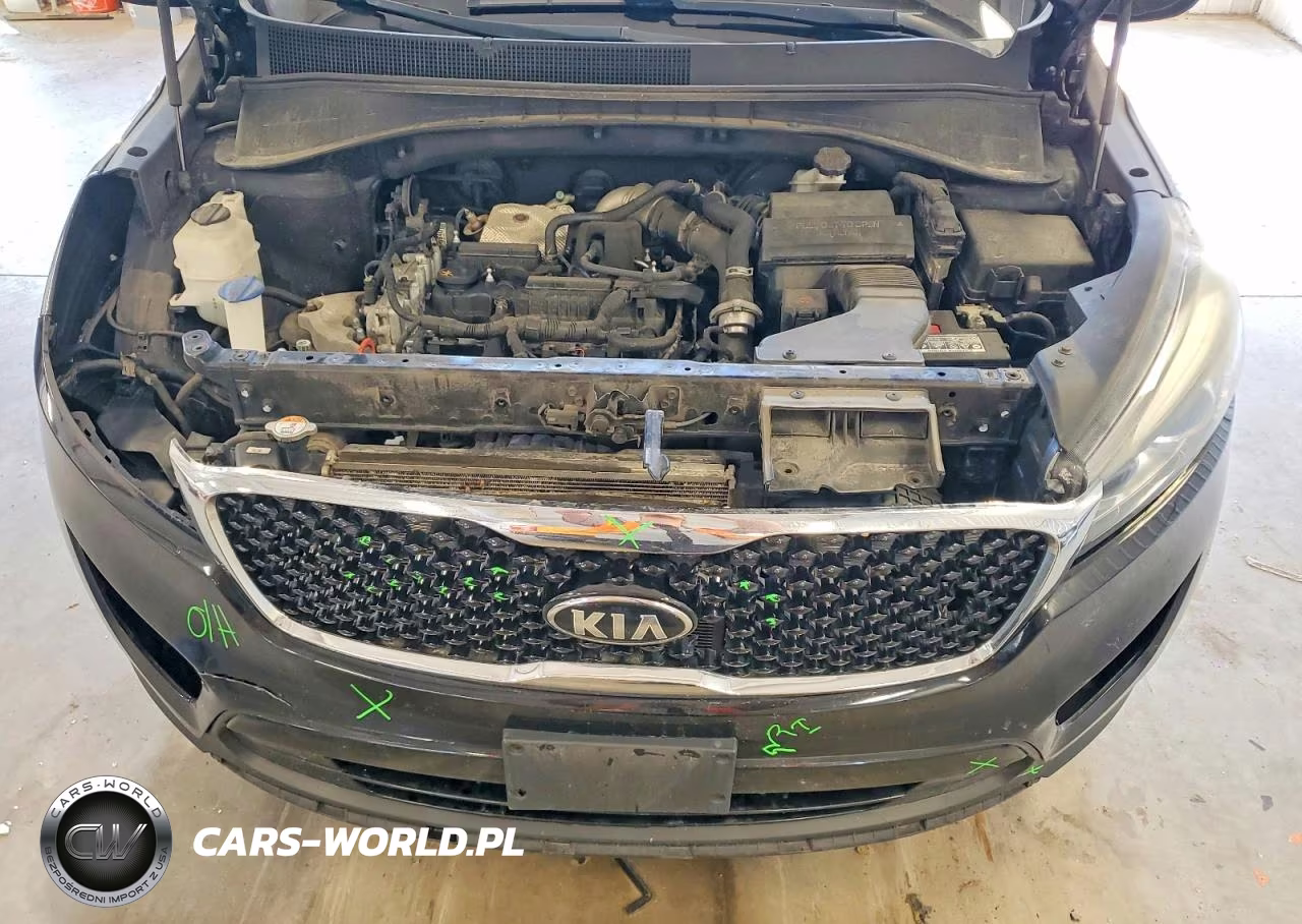 2017 Kia Sorento Ex VIN:5XYPHDA14HG284454 - 12