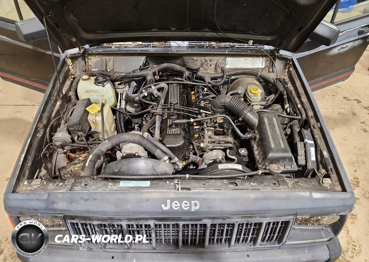 1995 Jeep Cherokee Sport VIN:1J4FJ68S6SL528606 - 12