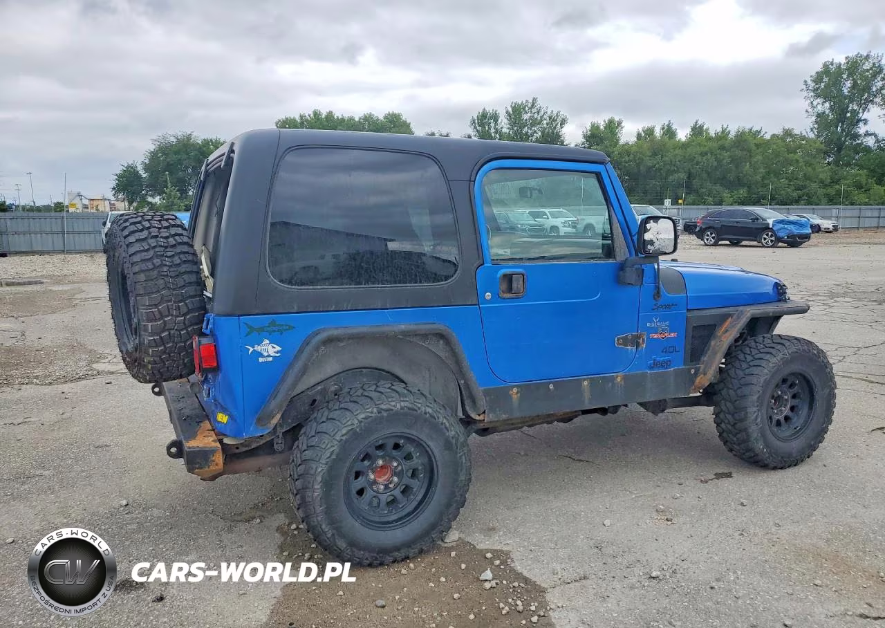 2003 Jeep Wrangler - Tj Sport VIN:1J4FA49S63P324868 - 3