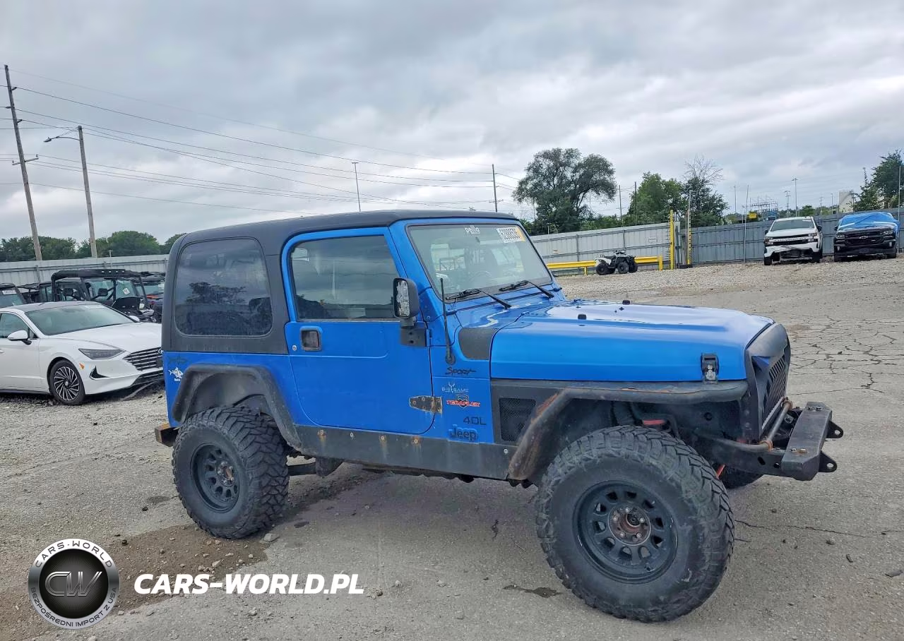 2003 Jeep Wrangler - Tj Sport VIN:1J4FA49S63P324868 - 4