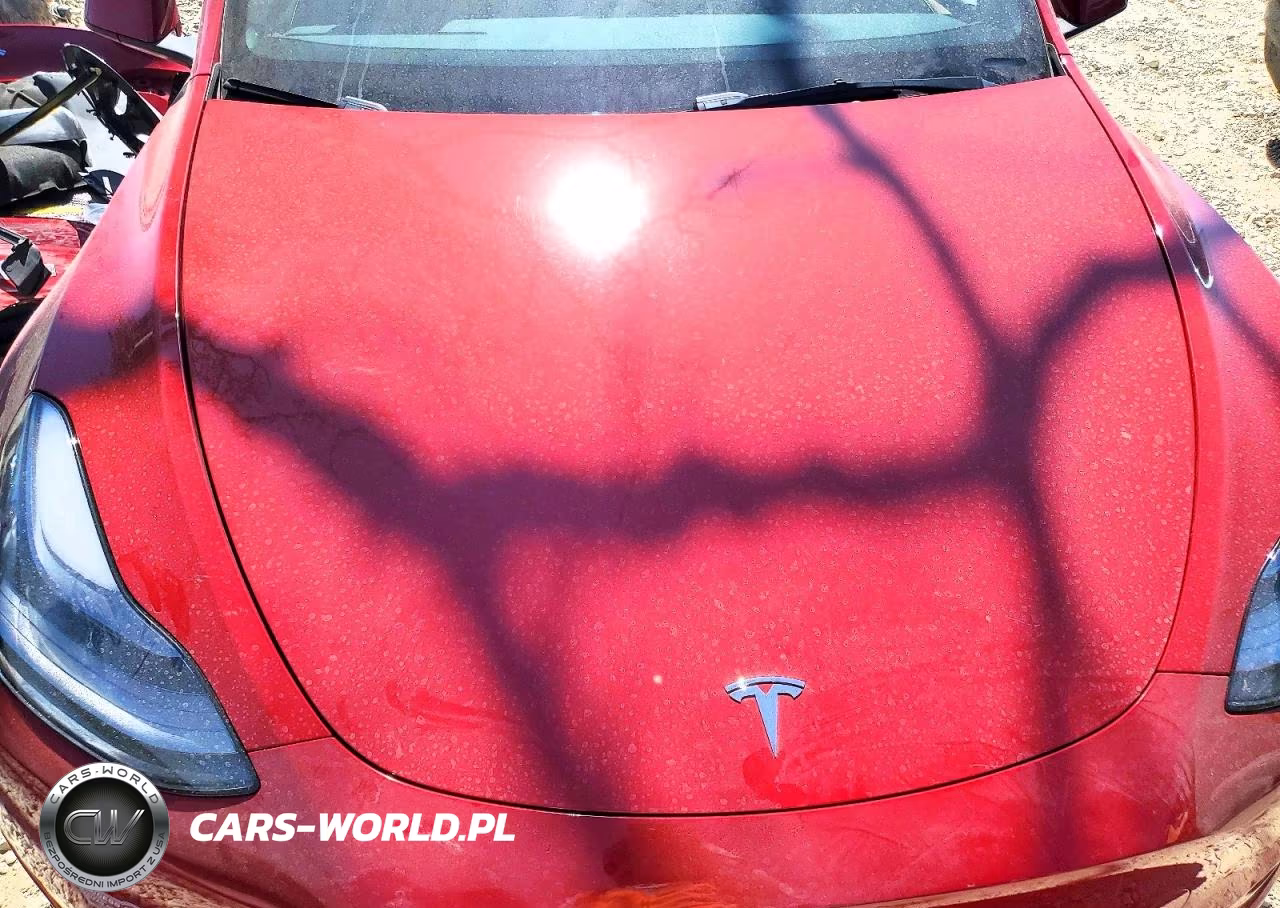 2022 Tesla Model Y VIN:7SAYGDEE2NF541766 - 12