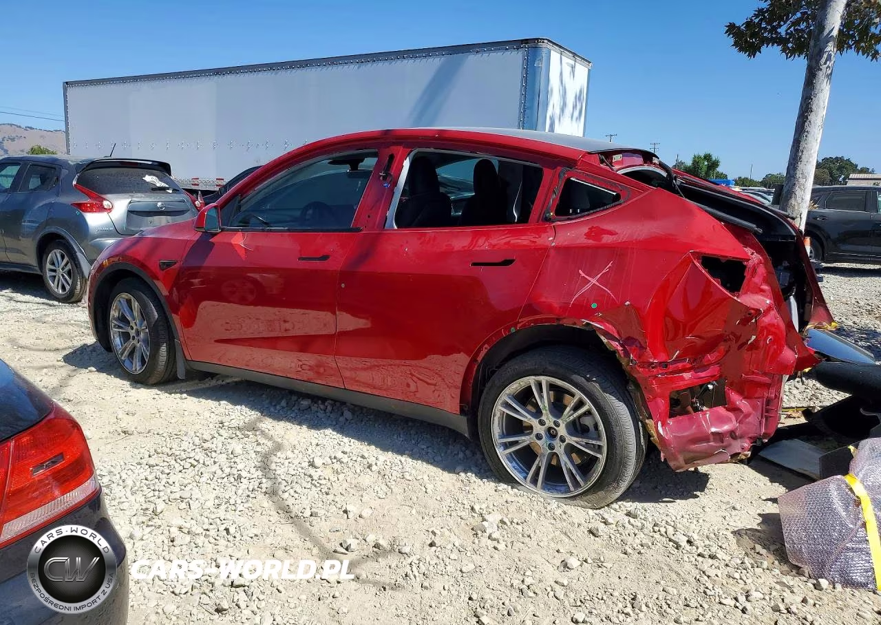 2022 Tesla Model Y VIN:7SAYGDEE2NF541766 - 2