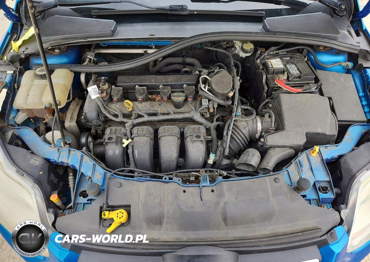 2014 Ford Focus Se VIN:1FADP3F22EL201353 - 11