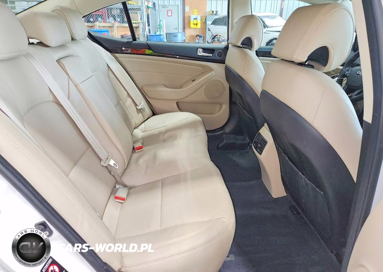 2015 Kia Cadenza Premium VIN:KNALN4D78F5197439 - 10