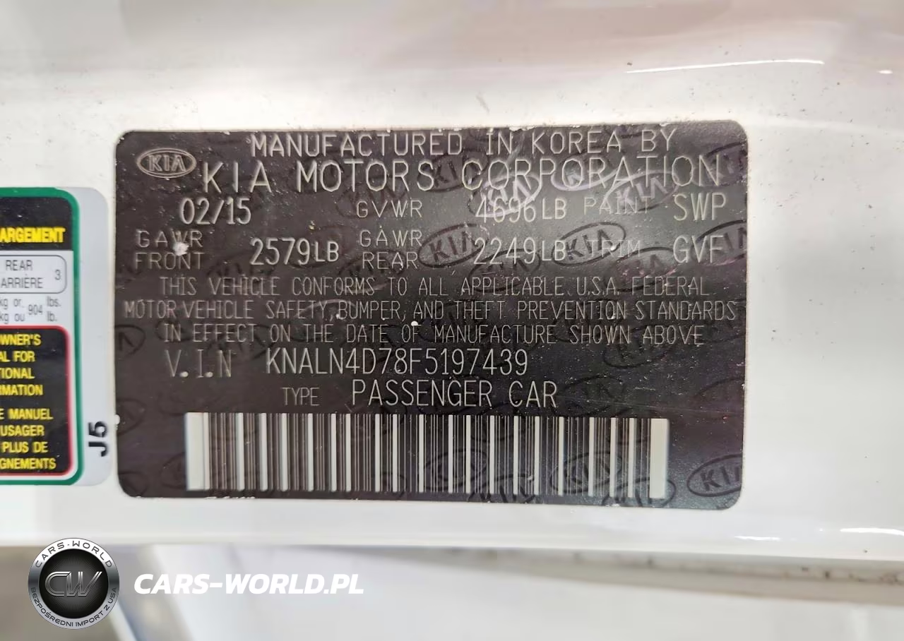 2015 Kia Cadenza Premium VIN:KNALN4D78F5197439 - 13
