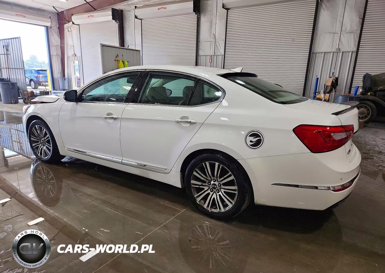 2015 Kia Cadenza Premium VIN:KNALN4D78F5197439 - 2