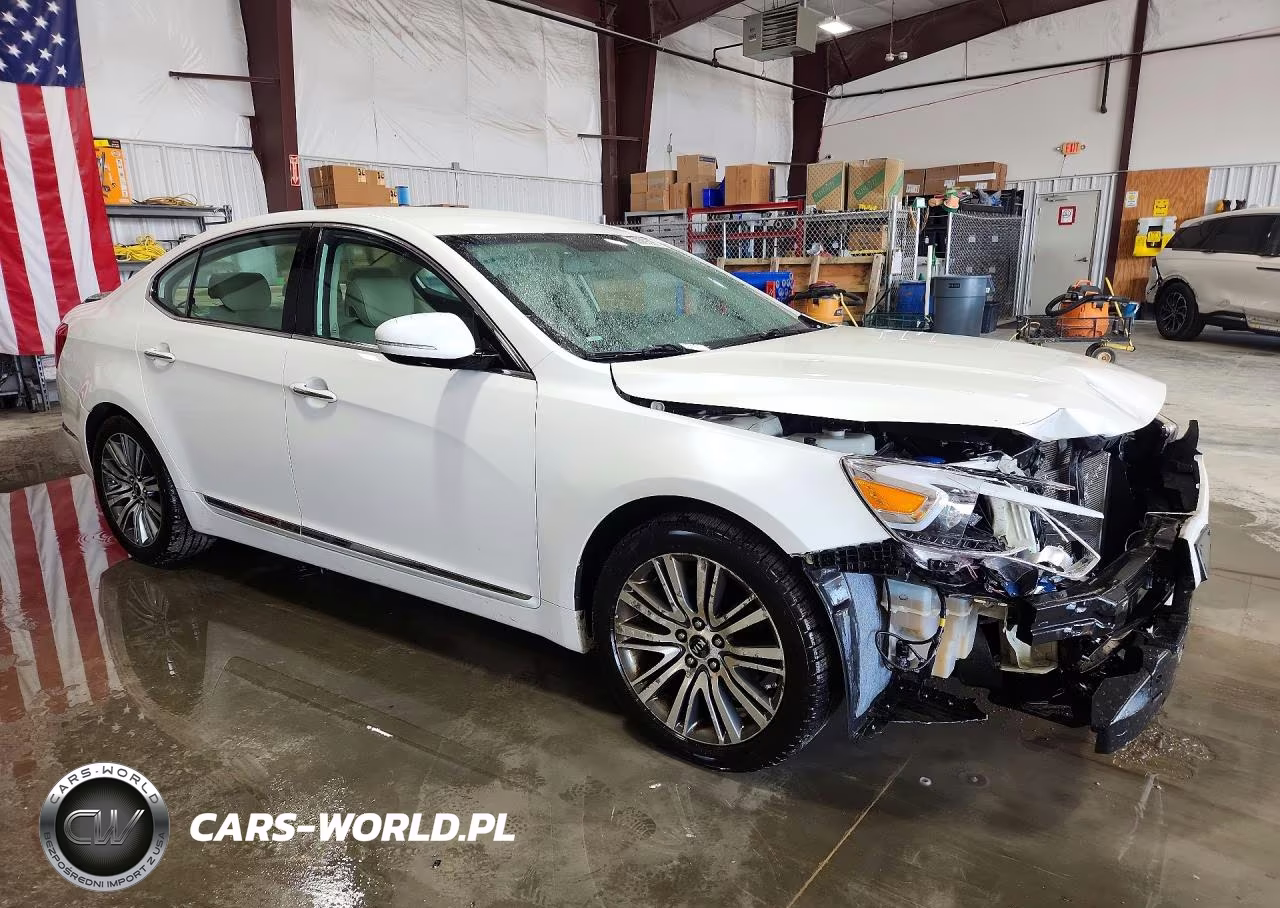 2015 Kia Cadenza Premium VIN:KNALN4D78F5197439 - 4
